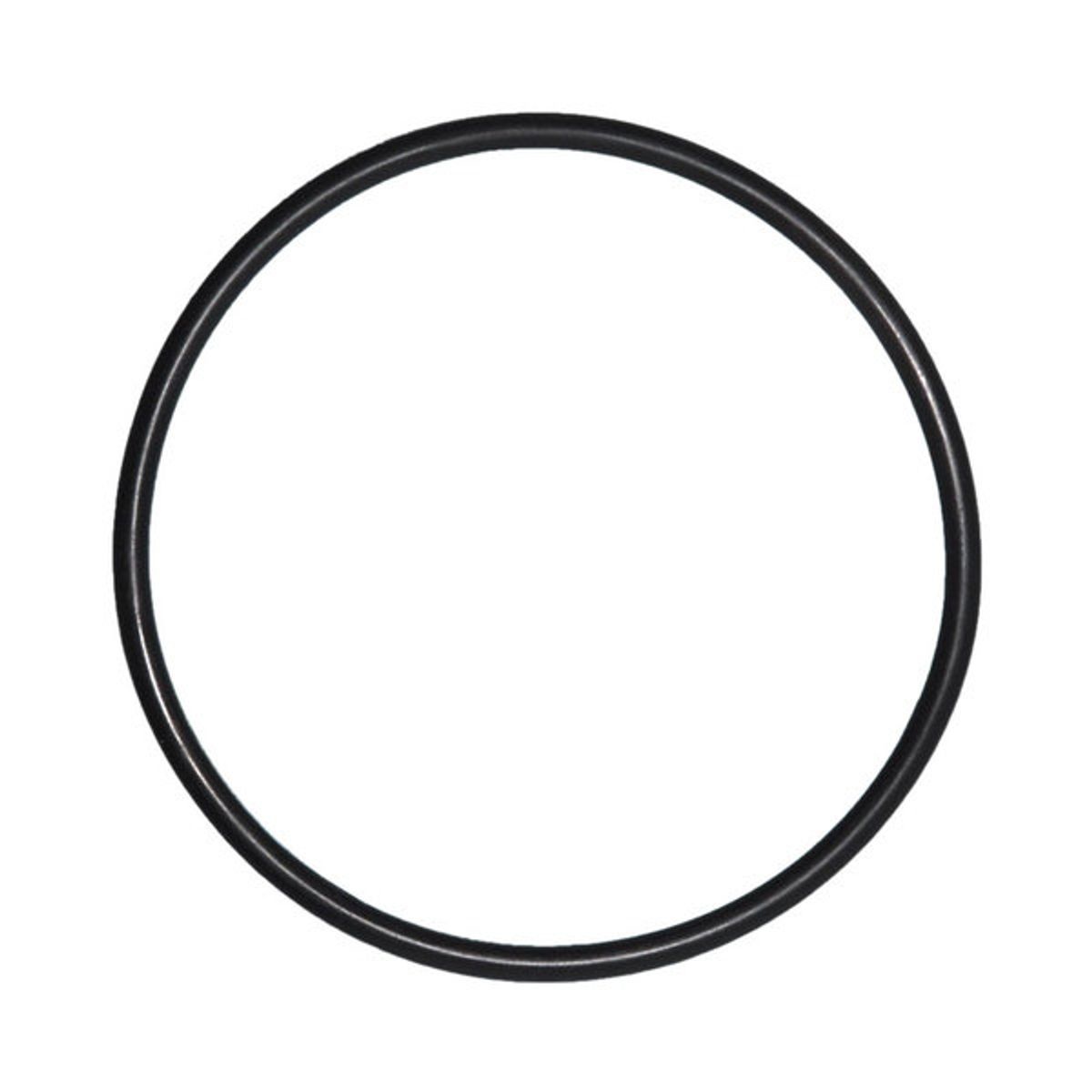 O-ring voor mega pool filter