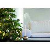 Esteban Mist Diffuser Editie Art - Platinum