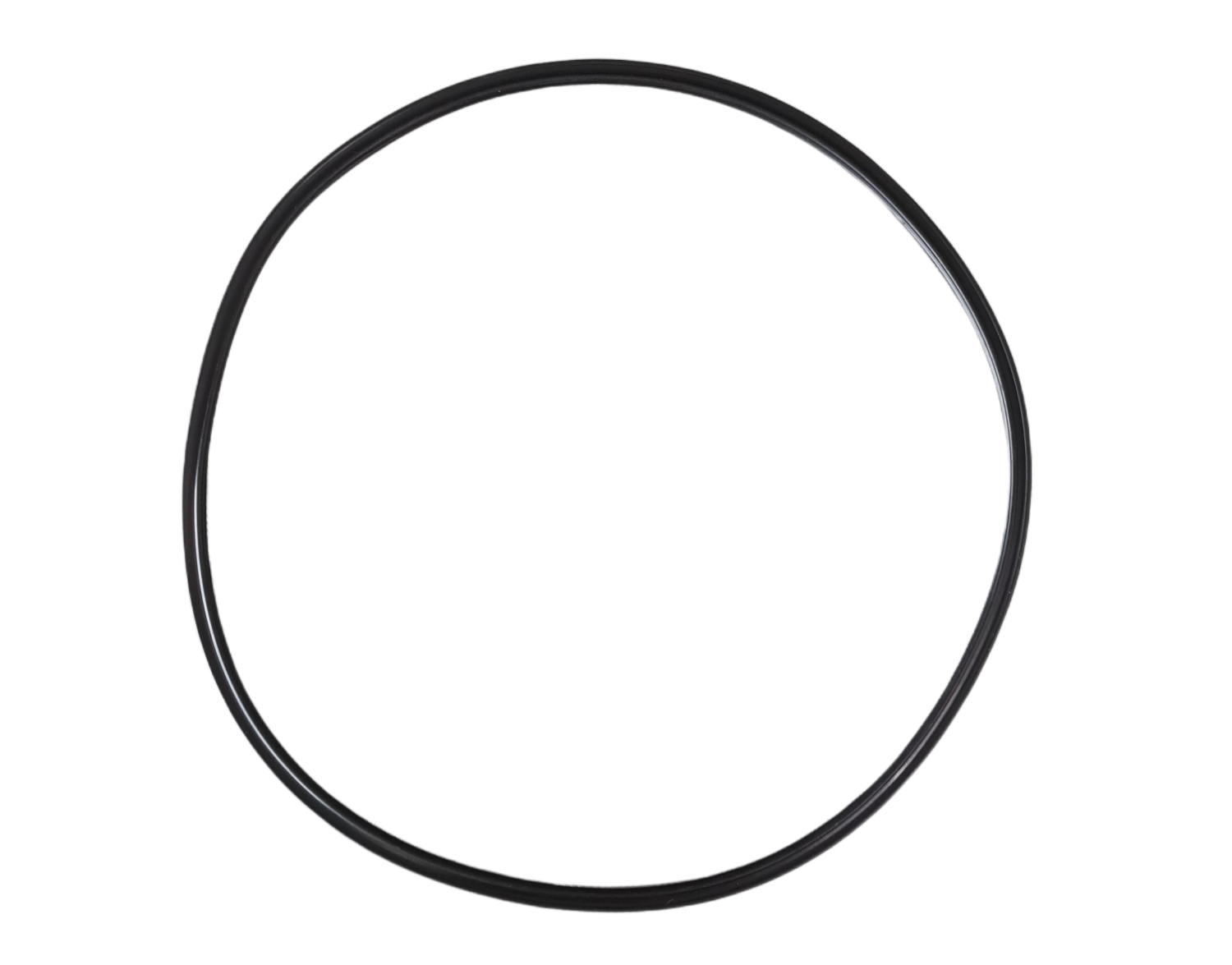 Emaux o-ring filter propure / pro S21 / S25 / S28