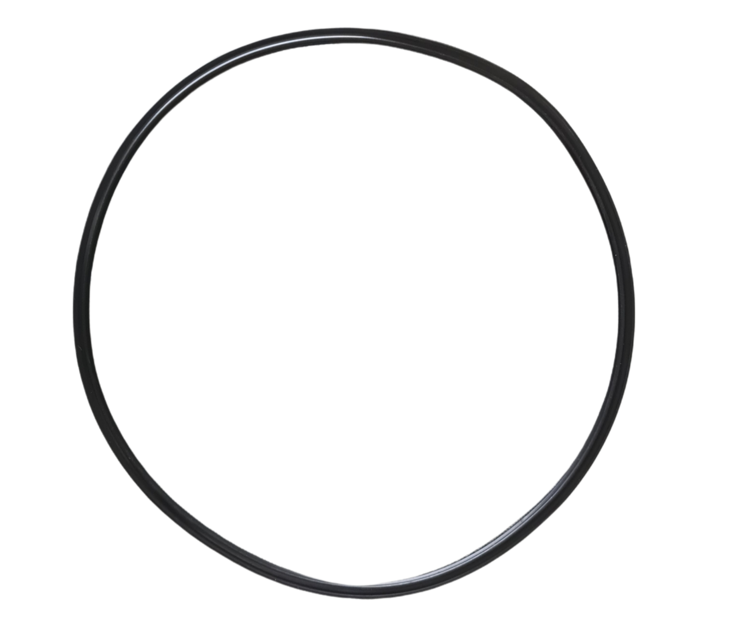 Emaux o-ring filter propure / pro S21 / S25 / S28