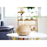 GX-21K Aroma Diffuser