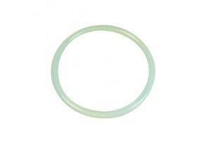 Astral Pool Sidemount Filter Deksel O-ring