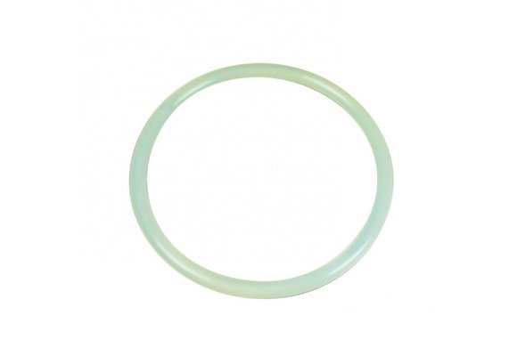 Astral Pool Sidemount Filter Deksel O-ring