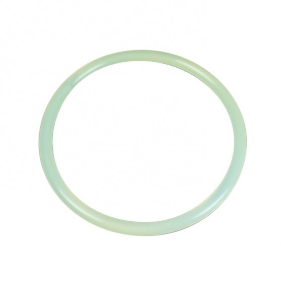 Astral Pool Sidemount Filter Deksel O-ring
