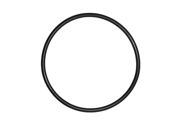 O-ring 170mm - 7mm dik