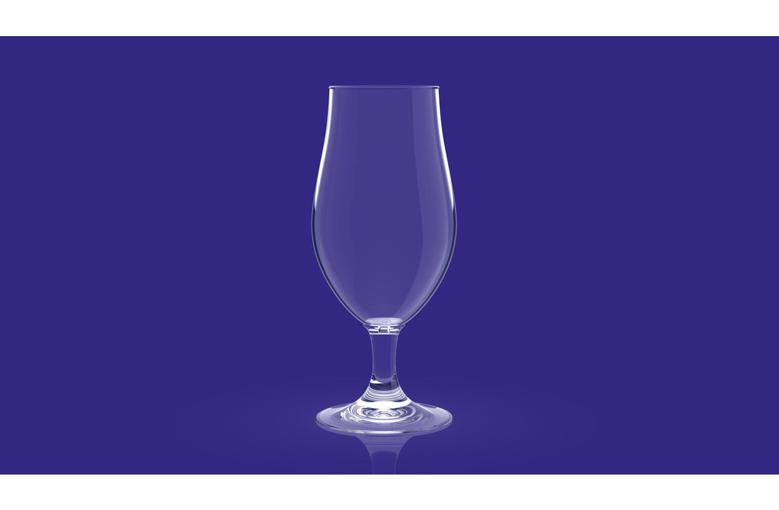 HappyGlass Kunststof Bierglazen Mister Gustav 500ml - 2 stuks