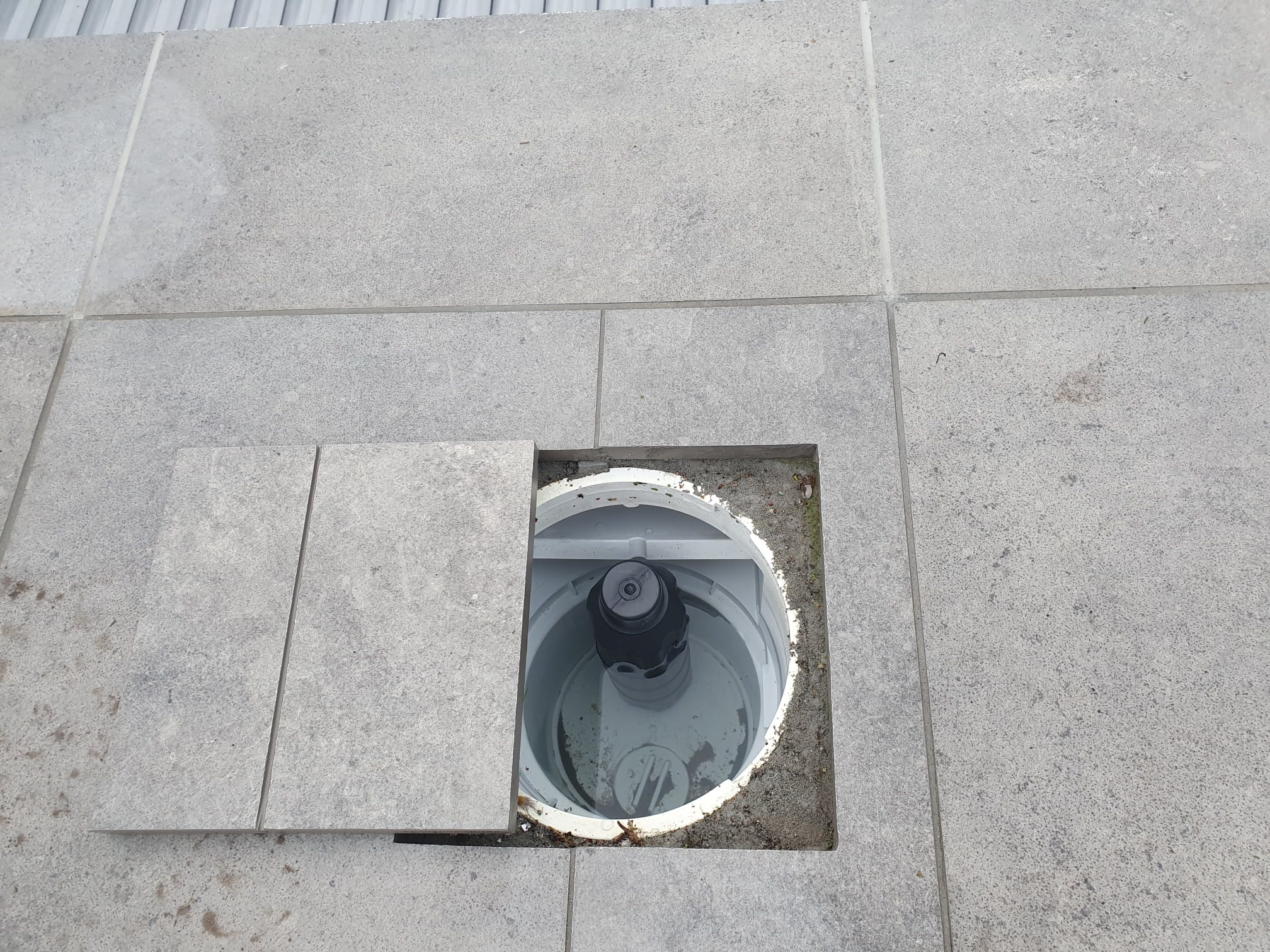 Gizzmo Zwembad Skimmer beveiliging Zwemland.nl Zwemland