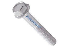 Hayward Max Flo II pomphuis bout