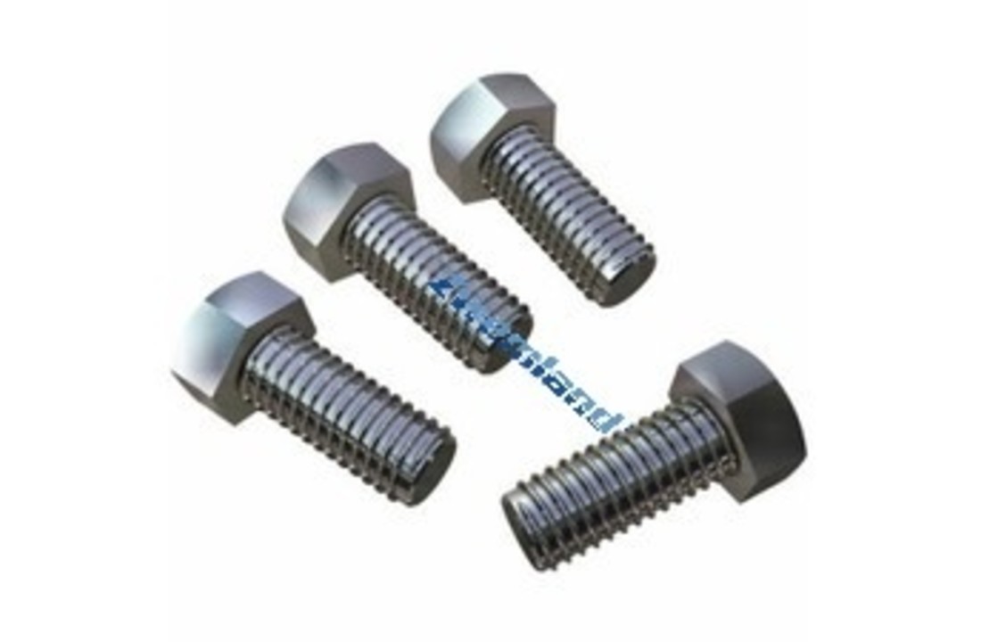 Hayward motor bevestigingsbout 4 stuks SPX0125Z4E
