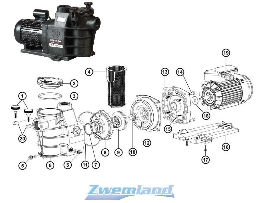 Hayward superpomp motor- diverse soorten
