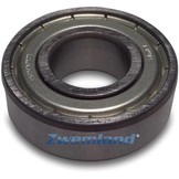 Hayward Kogellager 1 stuk  SPX62022RS