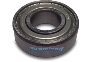 Hayward Kogellager 1 stuk  SPX62022RS