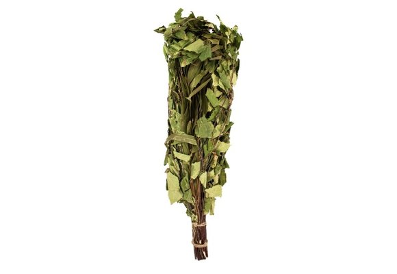 Emendo Berken - Eucalyptus takken