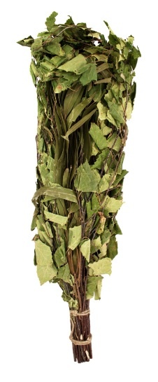 Emendo Berken - Eucalyptus takken