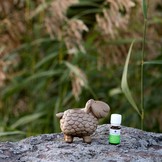 Emendo Sauna schaap met etherische olie Eucalyptus