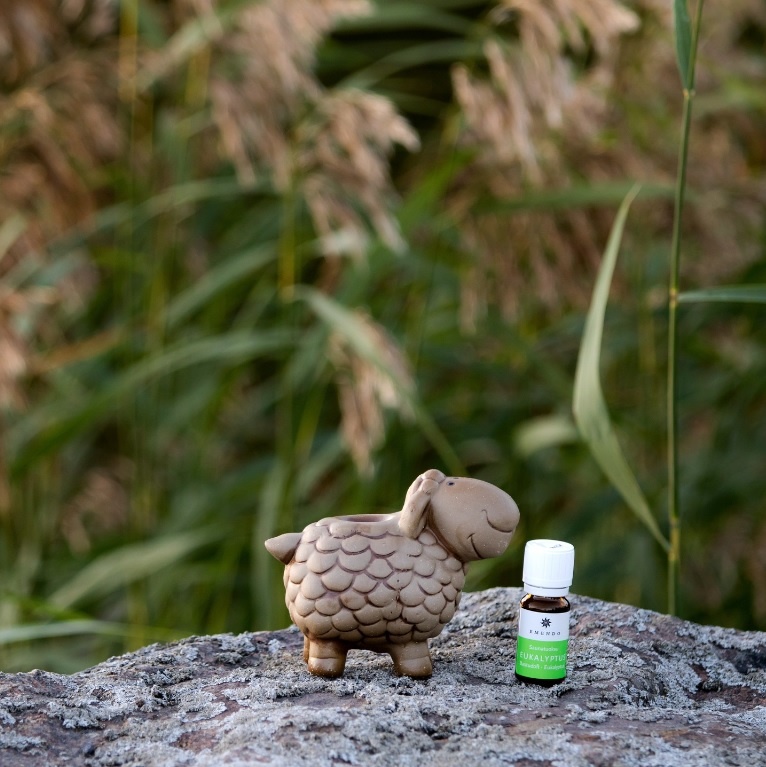 Emendo Sauna schaap met etherische olie Eucalyptus