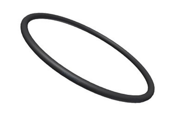 Starline Ionisator O-ring