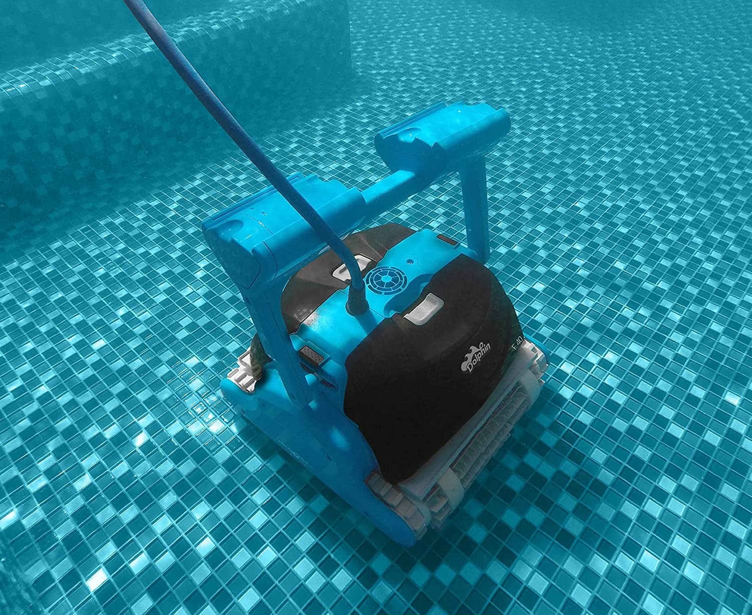Dolphin F40 Zwembadrobot
