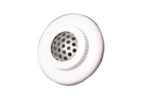 Nozzle met Rvs geperforeerd rooster Hayward ABS