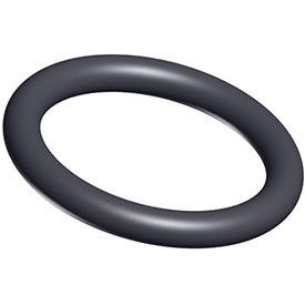 Hayward o-ring voor klep schotel