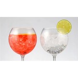 HappyGlass Miss Liza Gin Tonic Glas - Set van 2 Kunststof Glazen  630 ml