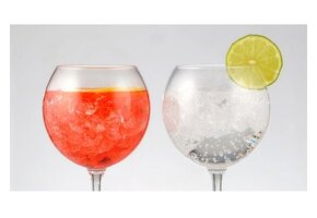HappyGlass Kunststof Gin Tonic Glas 630 ml - 2 stuks
