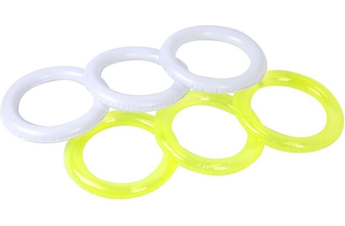 Inflatable Games Ring Gooien Cactus