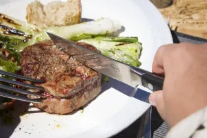 Steak Bestek Set Rösle  -set van 4 stuks.