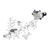 Kripsol Koral KS EVO O-ring voor deksel