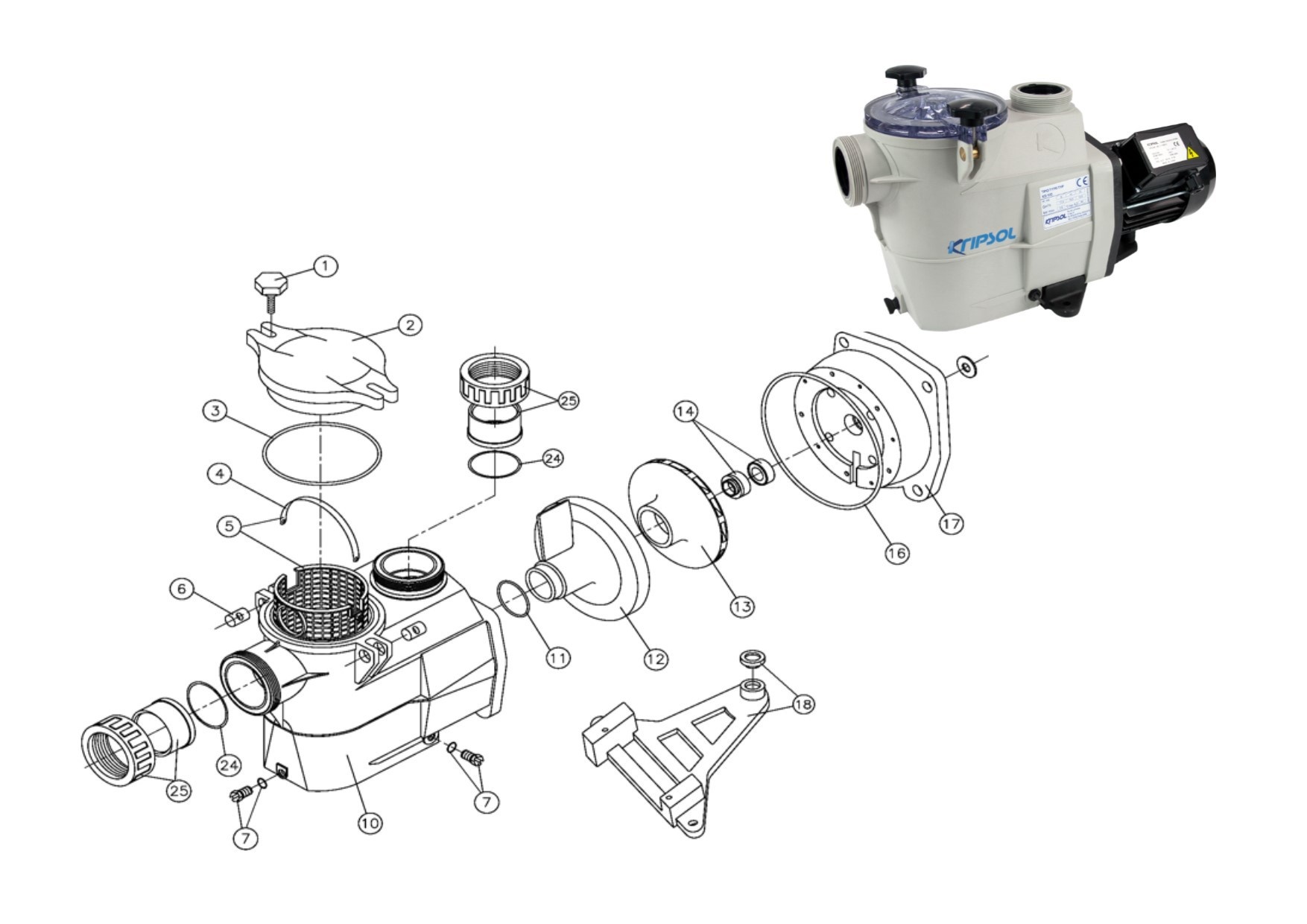 Kripsol Koral KS EVO O-ring voor deksel