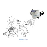 Kripsol Koral KS EVO Zwembadpomp Motor Sealset