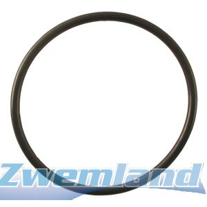 Kripsol Koral KS EVO zwembadpomp pomphuis pakking