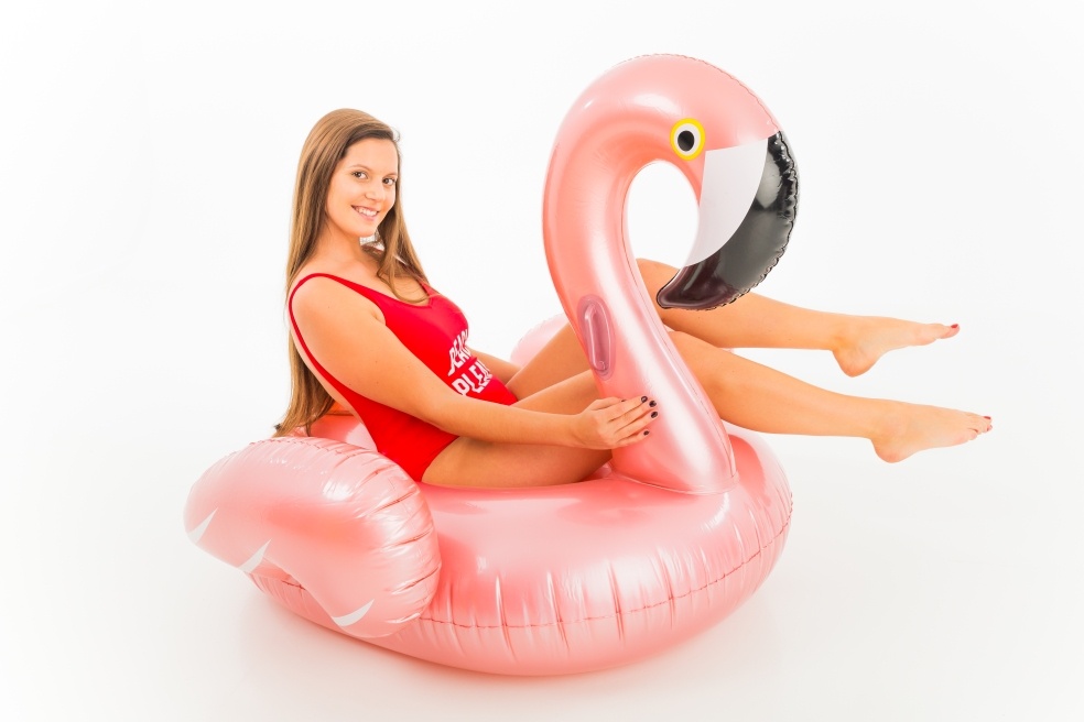 Didak Opblaasbare Flamingo Roze Gold 140x130x120 cm