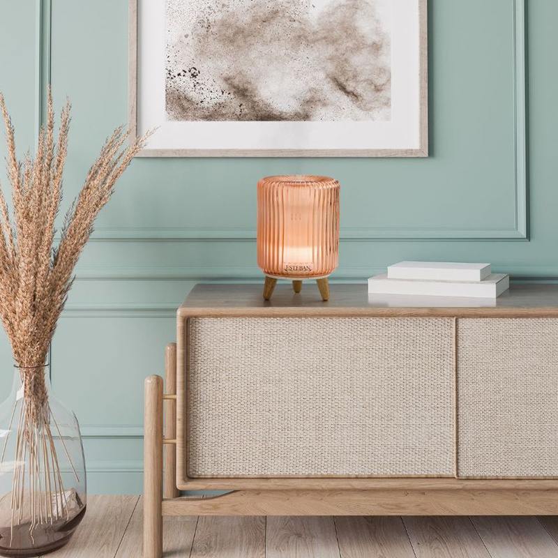 Esteban Mist Diffuser So Retro Edition (new)