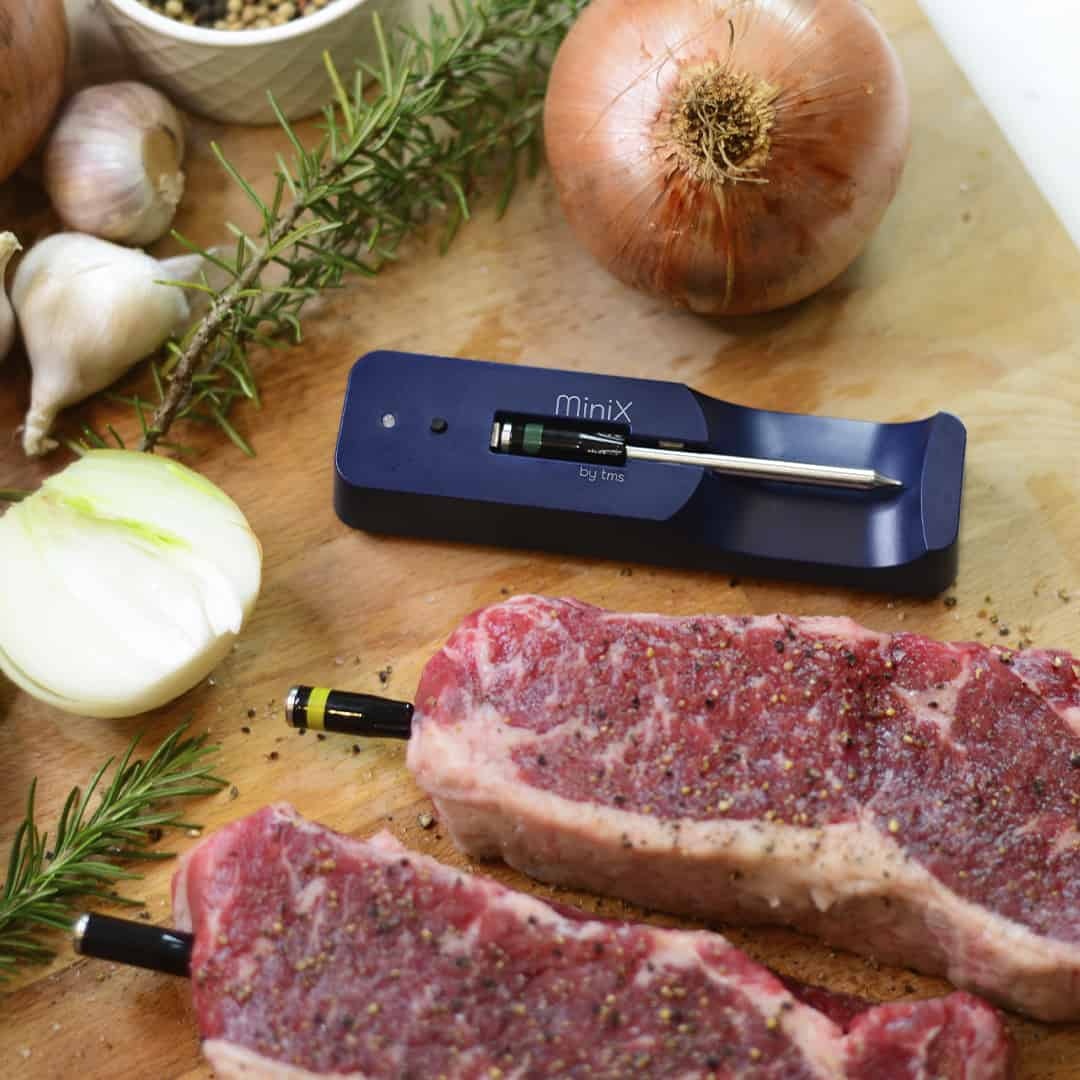 MeatStick Mini X Set - Draadloze vlees thermometer met lader