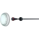 Blueplus Brite Large