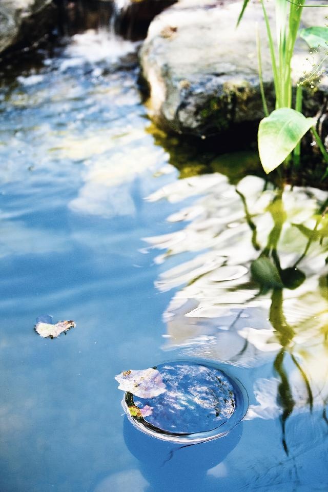 Heissner vijver oppervlakte skimmer