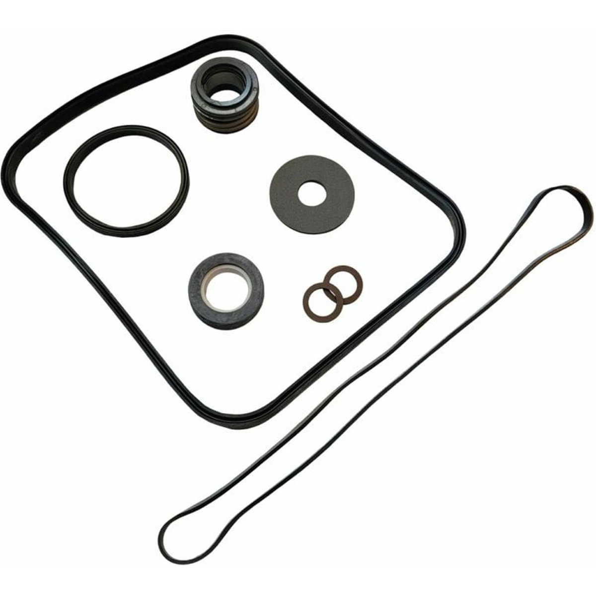 Hayward Super Pomp Complete Pakking set