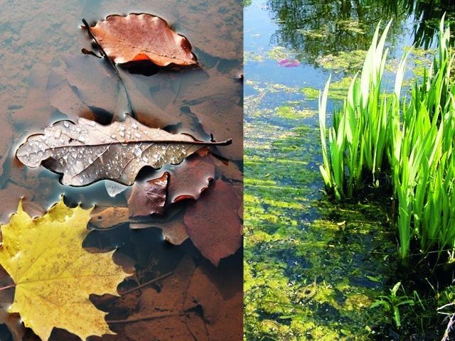 Heissner vijver vacuum stofzuiger basic