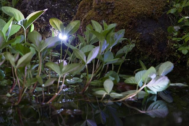 Heissner spot 4W warm wit kunststof