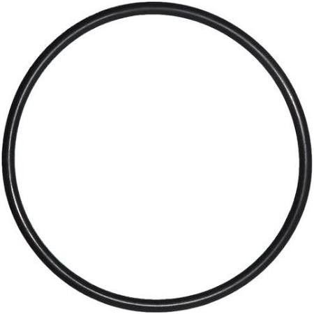 Pentair Triton o-ring voor zandfilter deksel