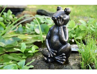 Heissner vijverfiguur kikker relax