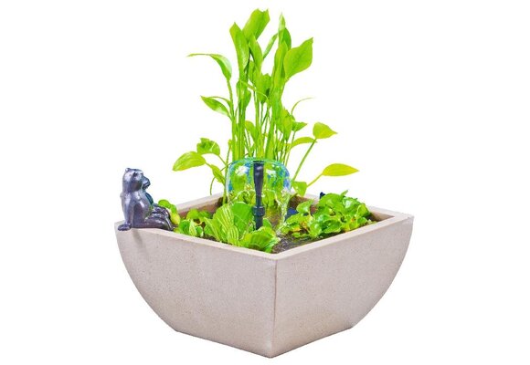 Heissner watertuin set vierkant wit 75x75x30 cm met kikker