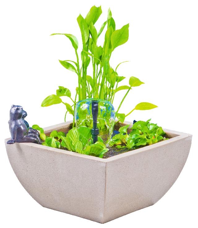 Heissner watertuin set vierkant wit 75x75x30 cm met kikker