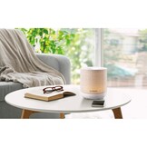Esteban Mist Diffuser Easy Living Editie