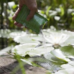 zwemvijver onderhouden in het voorjaar