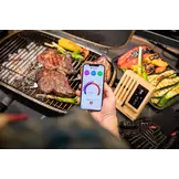 Meater Block draadloze BBQ thermometer met 4 probes  | Wifi + Bluetooth