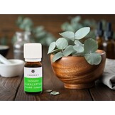 Emendo Sauna geur Eucalyptus - 10ml