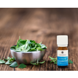 Emendo Sauna geur Eucamenthol 10 ml