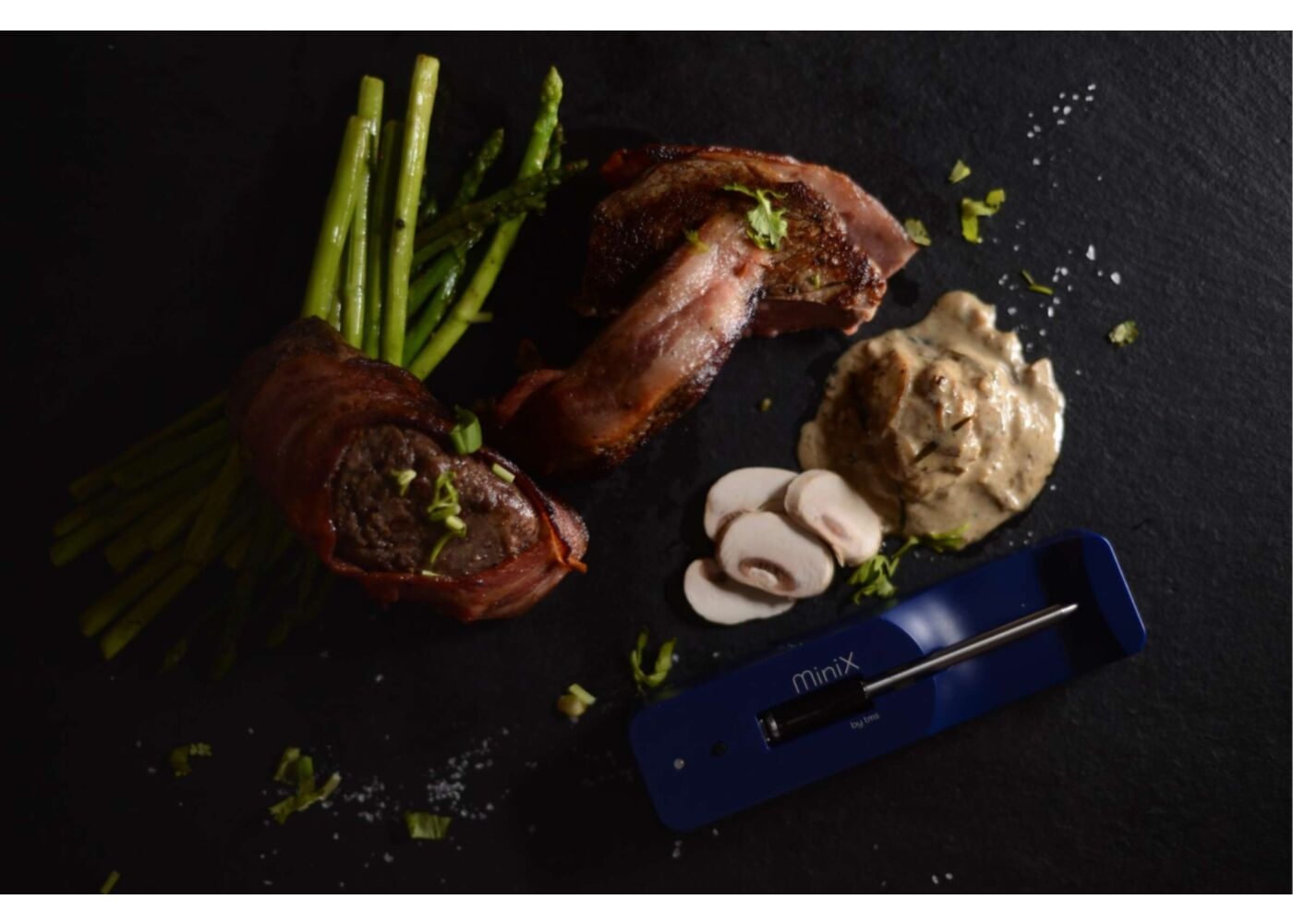 MeatStick Mini X Set - Draadloze vlees thermometer met lader